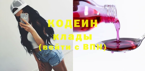 ECSTASY Алзамай