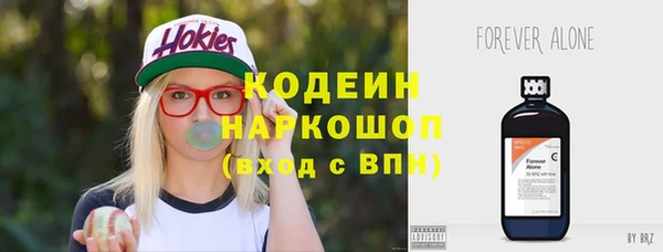 ECSTASY Алзамай