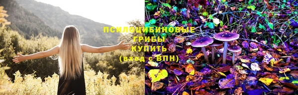 ECSTASY Алзамай