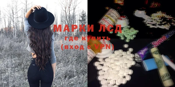 ECSTASY Алзамай