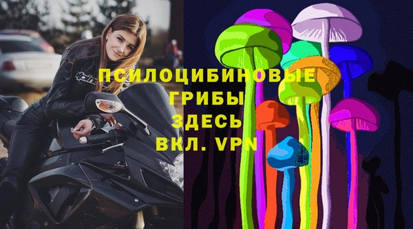 не бодяженный Алексин