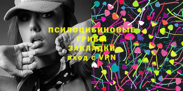 ECSTASY Алзамай