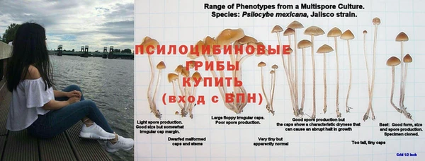 ECSTASY Алзамай