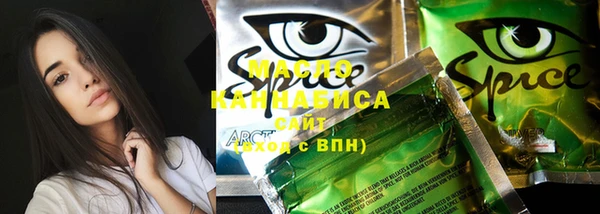 ECSTASY Алзамай