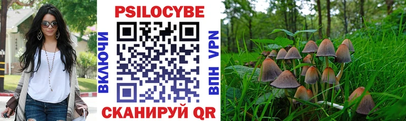 Псилоцибиновые грибы Psilocybe  Лянтор 